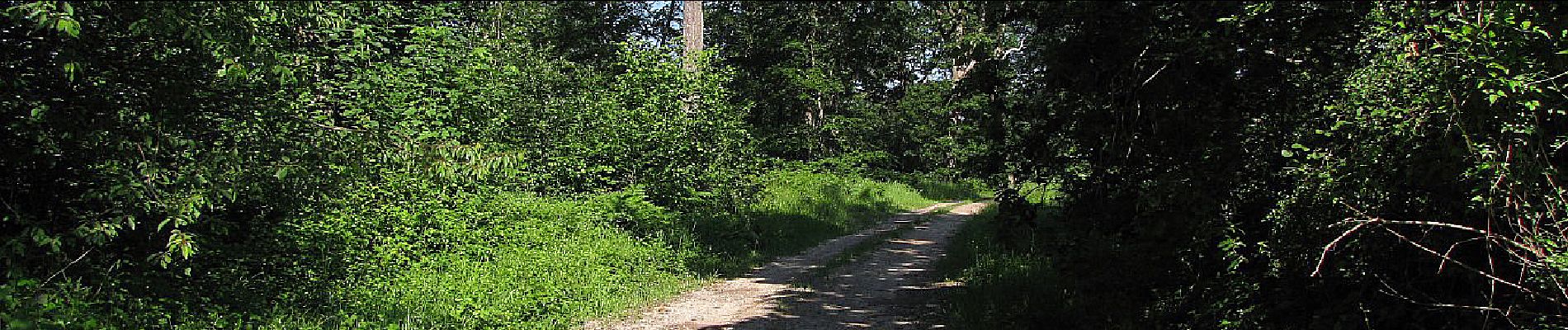 Point d'intérêt Villers-Cotterêts - Point 10 - Photo