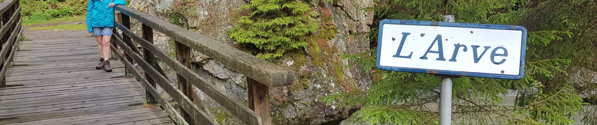 Tour Wandern Chamonix-Mont-Blanc - Les Tines Argentière par l'Arve - Photo