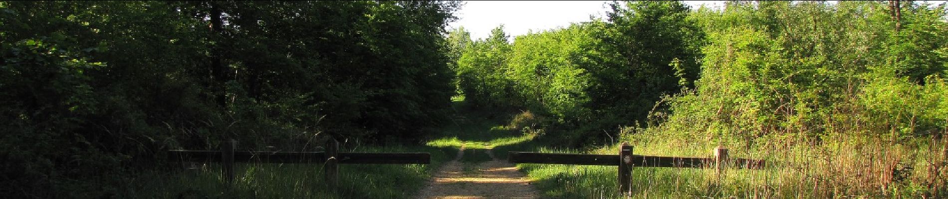 Point d'intérêt Trosly-Breuil - Point 1 - Photo