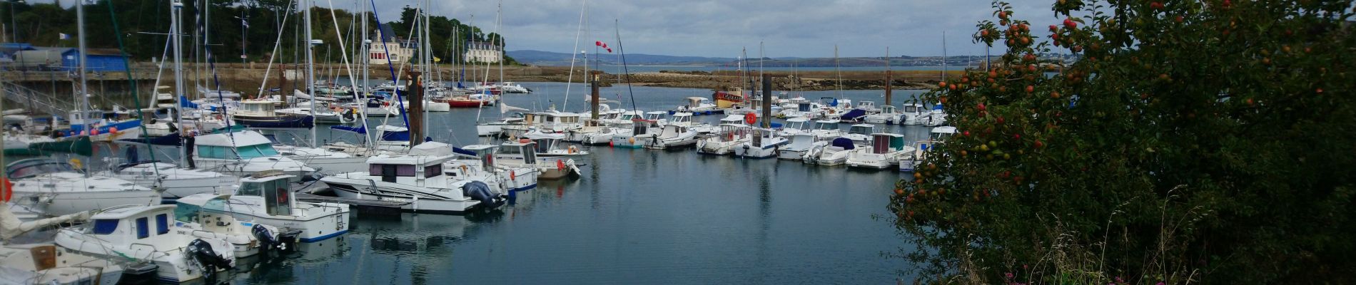 Tour Wandern Douarnenez - Douarnenez - GR34 du port de plaisance aux Roches Blanches - 9.7km 165m 2h30 - 2019 09 06 - Photo