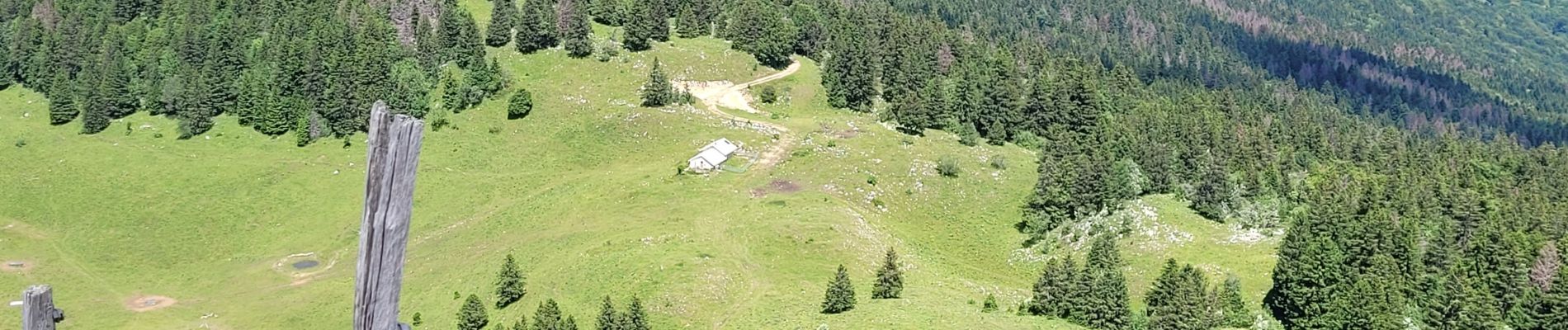 Excursión Senderismo Chézery-Forens - menthiere cret de la goutte pierre à fromag cret de l'eguillon - Photo