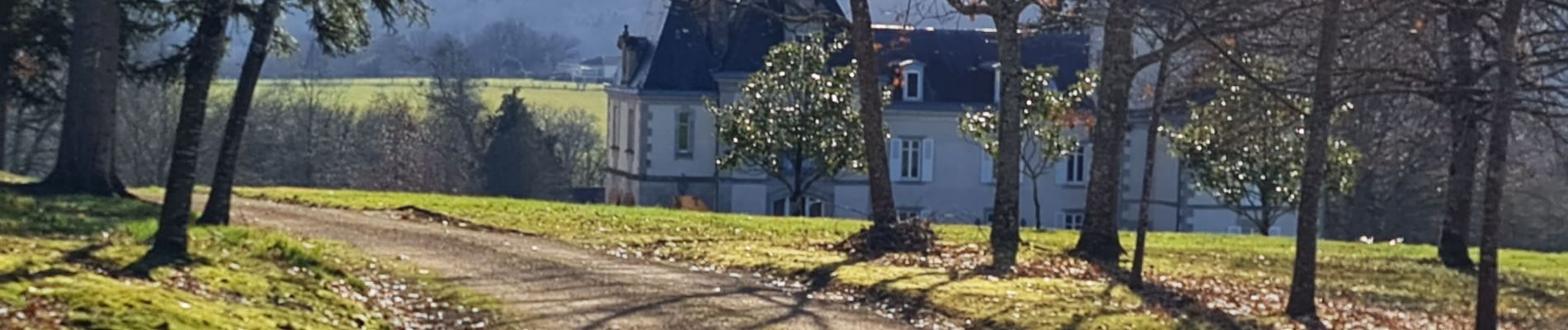 Randonnée Marche Verneuil-sur-Vienne - Verneuil - Photo