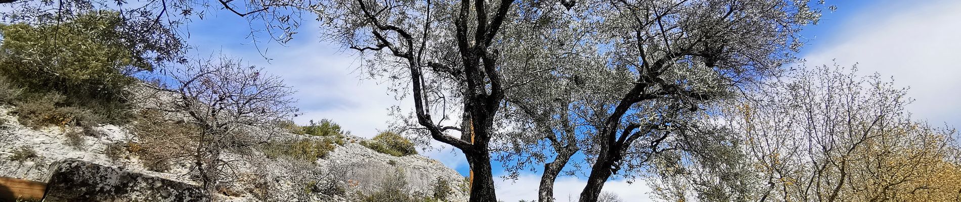 Tour Wandern Joucas - Gorges de Véroncle Via Joucas - Photo