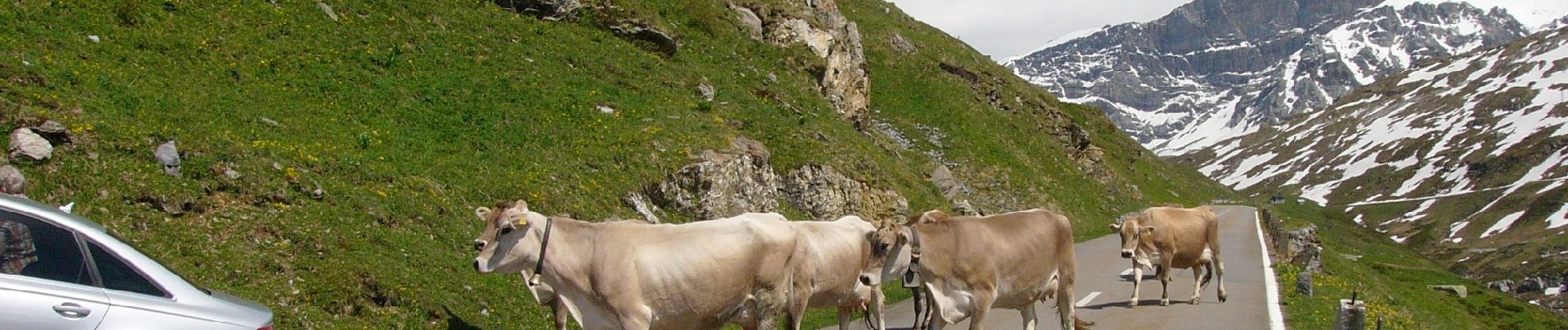 Percorso A piedi Unterschächen - Naturkundlicher Höhenweg Schächental - Photo