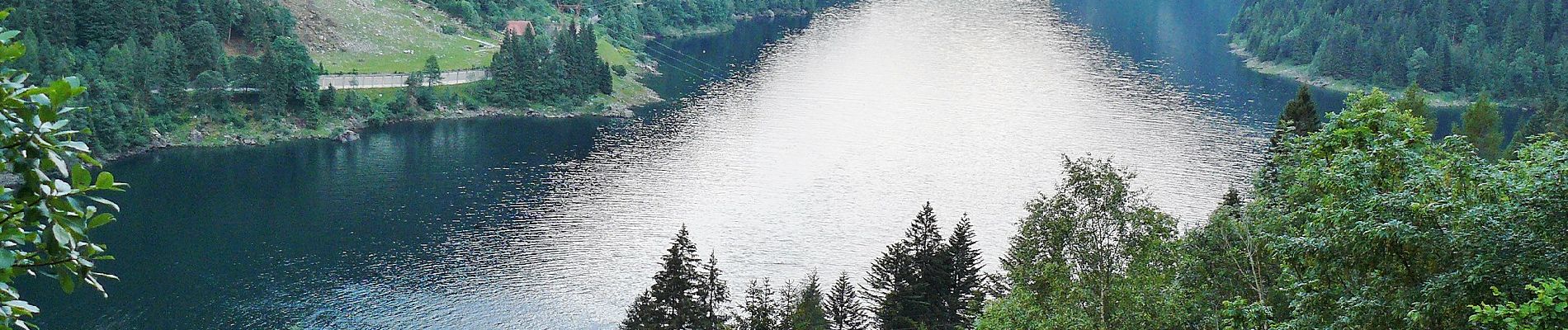 Tour Zu Fuß Sella Giudicarie - Sentiero di Danerba - Photo
