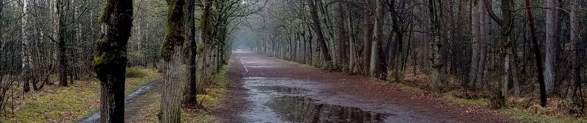 Excursión Marcha nórdica Belœil - mielikki  - Photo