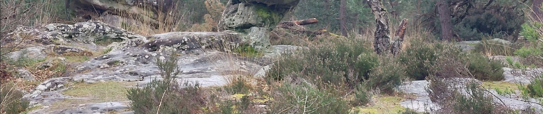 Point d'intérêt Fontainebleau - Sphinx des Druides  - Photo