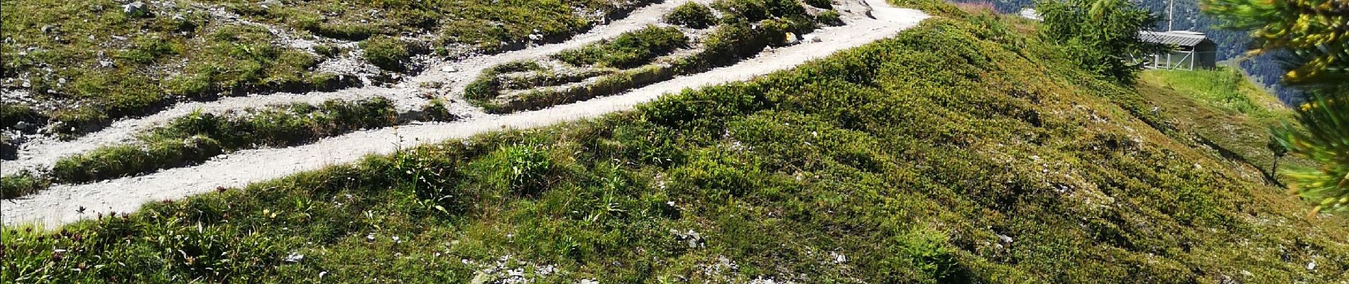 Percorso Marcia Anniviers - Weisshorn  - Photo