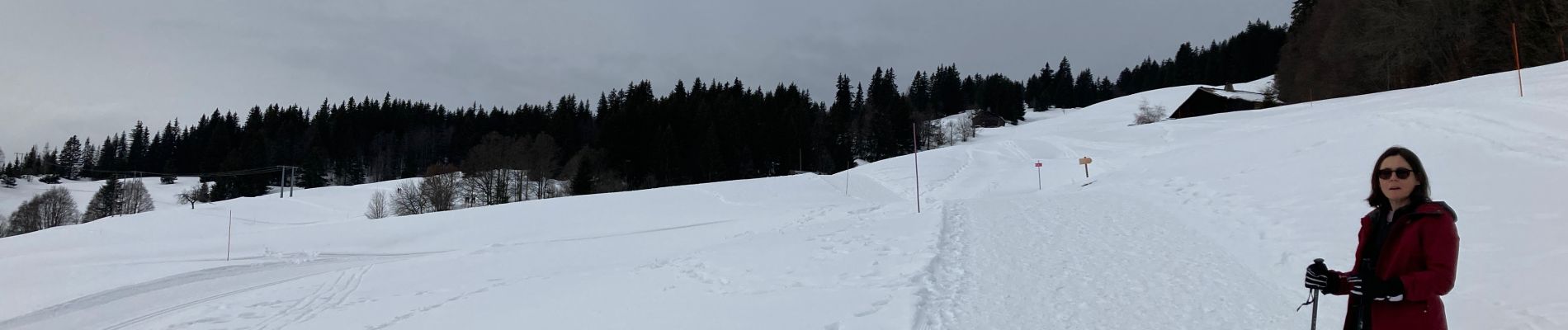 Tour Schneeschuhwandern Le Grand-Bornand - 25 - le vieux village de Chinaillon - Photo