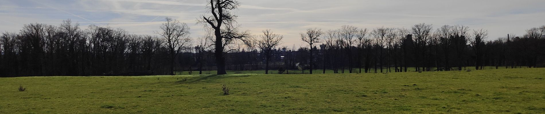 Tocht Stappen Feurs - Randonnée au dessus de Feurs  - Photo