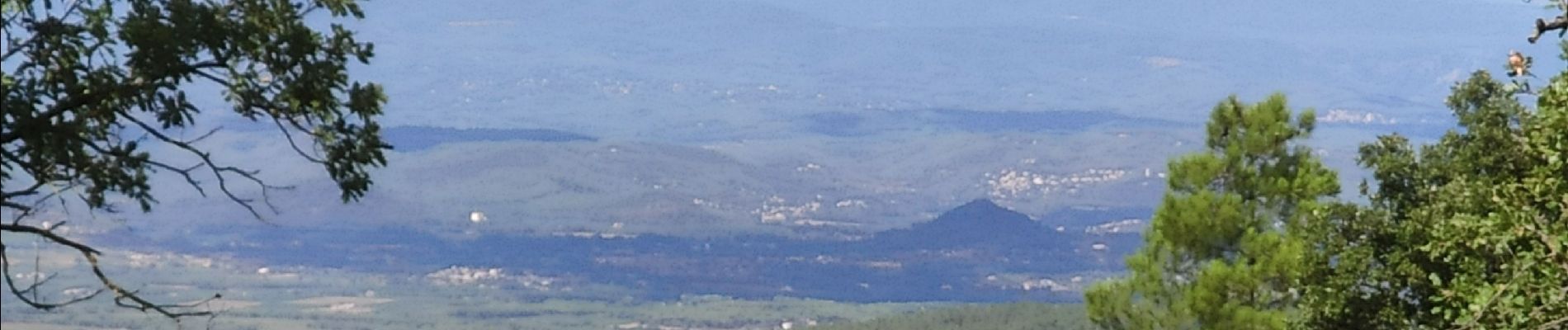 Tour Wandern La Garde-Freinet - Route des crêtes - La Garde-Freinet - Photo