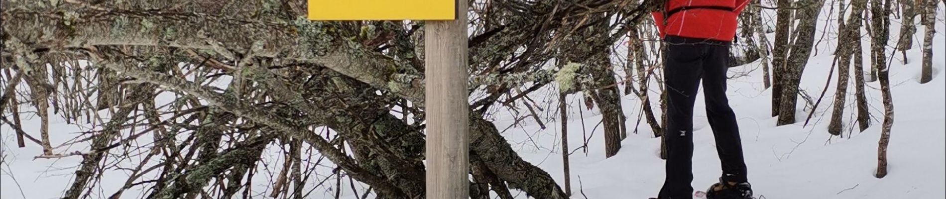 Randonnée Raquettes à neige Les Déserts - la Féclaz - Croix du Nivolet - Photo