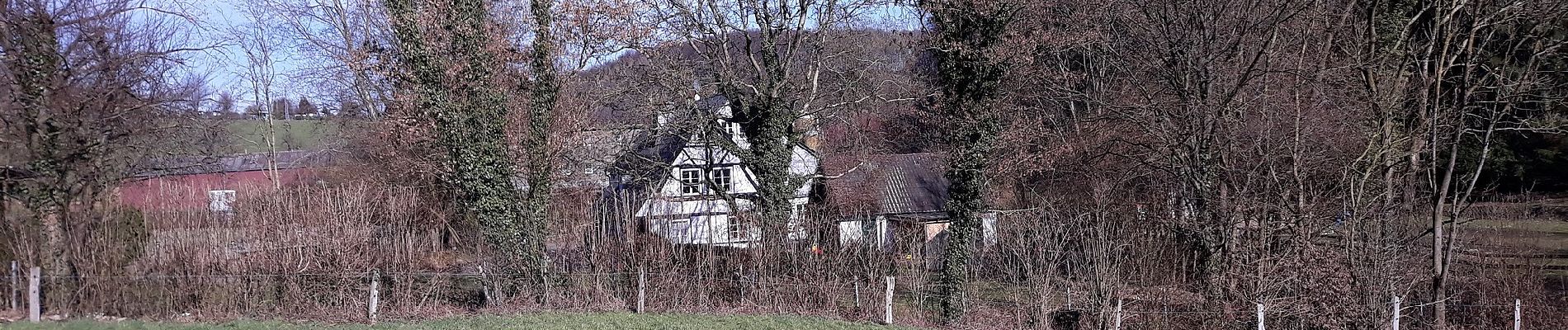 Tocht Te voet Kürten - Bechen Rundweg A3 - Photo