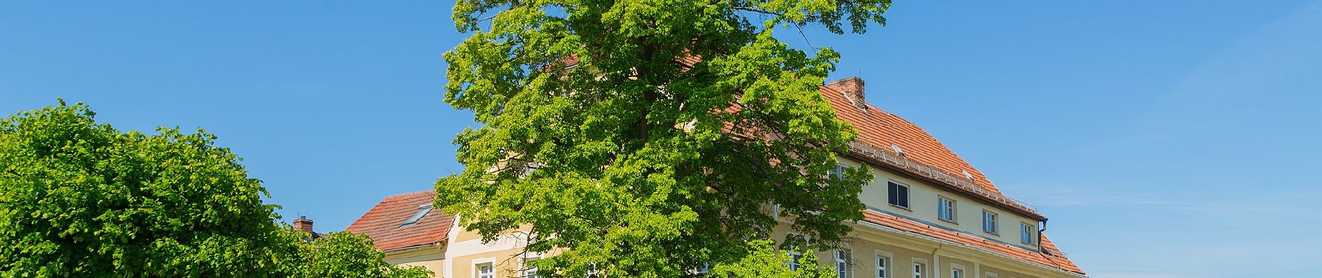 Tour Zu Fuß Herrnhut - OL-Grüner Gegenschrägstrich - Zinzendorf-Lehrpfad - Photo