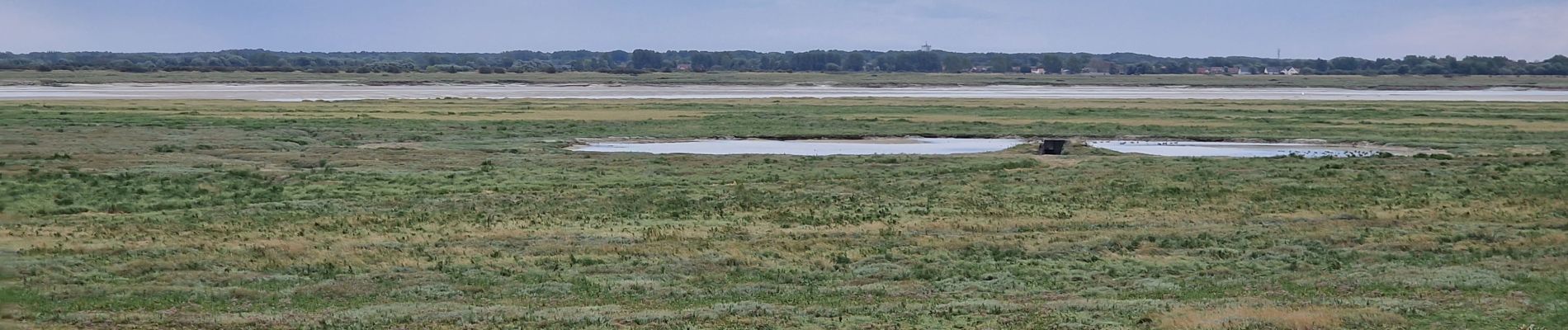 Tour Wandern Waben - Port de la Madelon à la Pointe de Peroquet - Photo