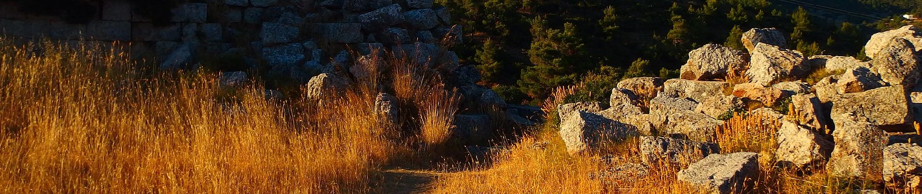 Trail On foot Municipal Unit of Fili - Κάστρο Φυλής - Ρέμα Θοδώρας - Φυλή - Photo