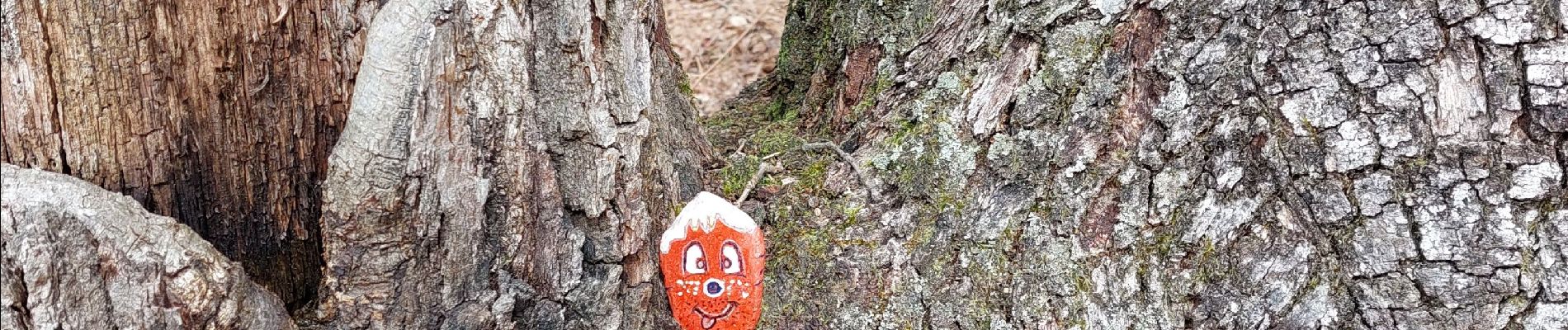 Trail Walking Fontainebleau - canon  - Photo