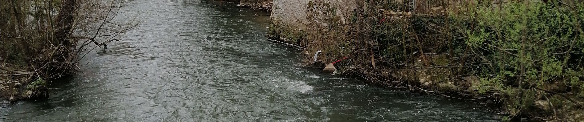 Randonnée Marche Yerres - La der à GG - Photo