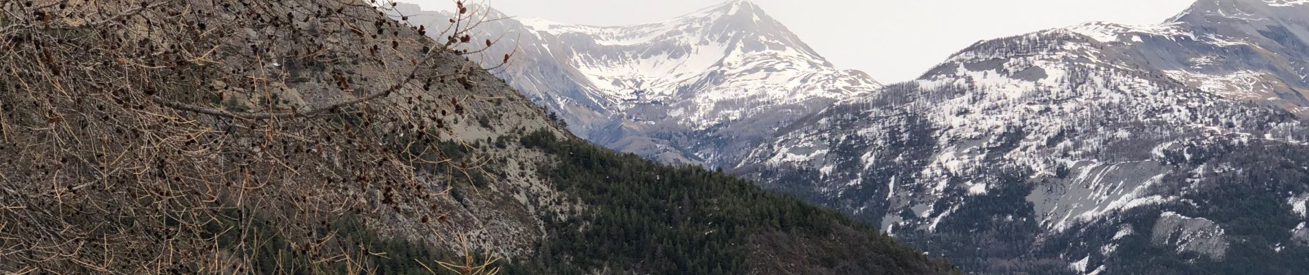 Tocht Sneeuwschoenen Saint-Martin-d'Entraunes - Col des Champs  - Photo