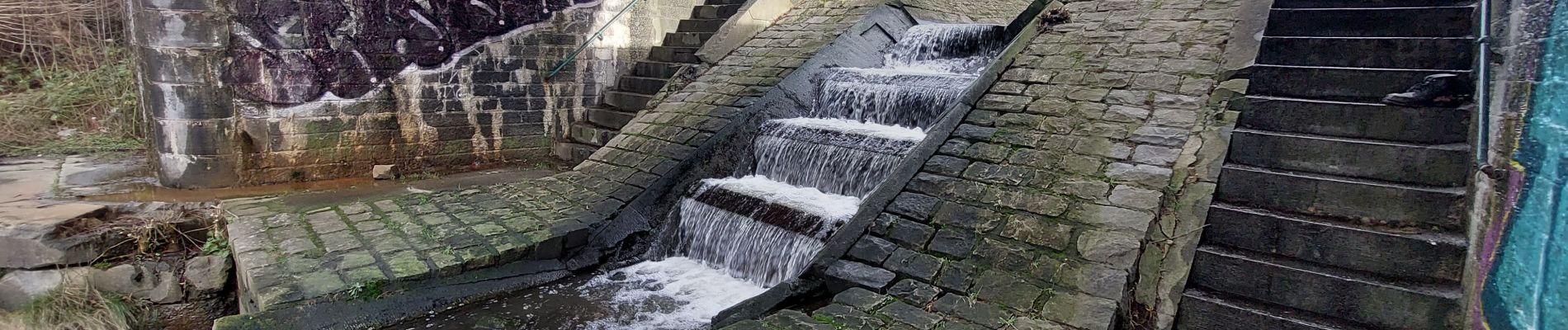 Tour Wandern Seneffe - Ancien et nouveau canal Bxl Charleroi  - Photo