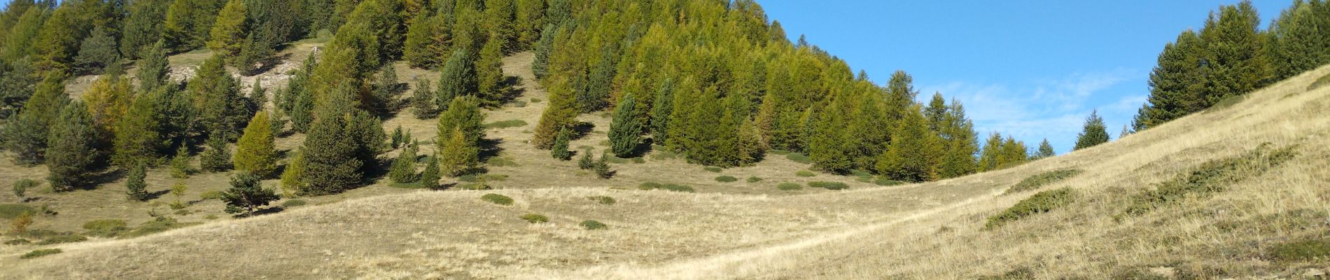 Tocht Stappen Ceillac - crête du Riou vert  - Photo