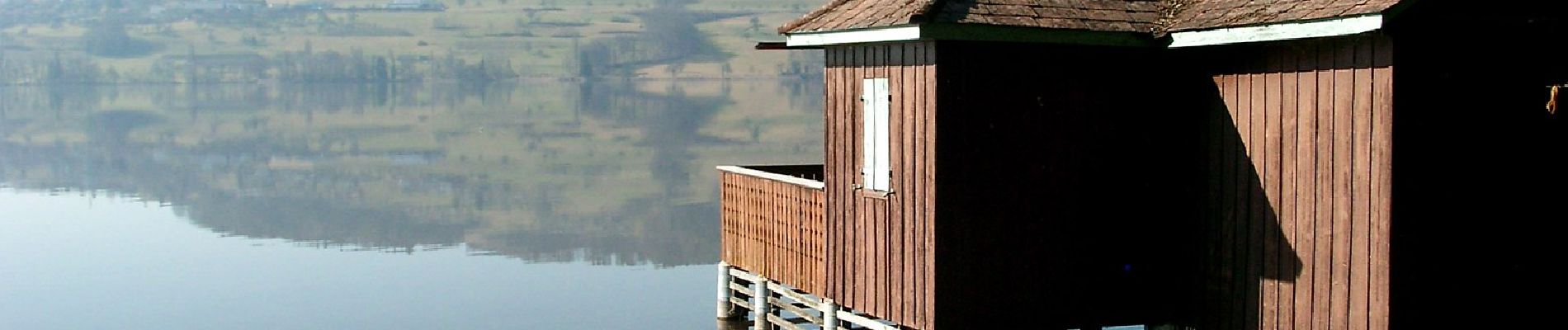 Percorso A piedi Aesch (LU) - Seerose - Aesch - Photo