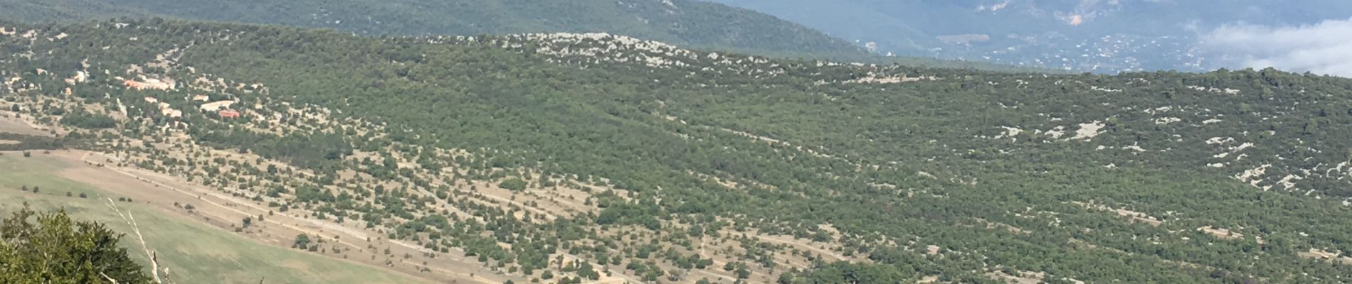 Excursión Senderismo Plan-d'Aups-Sainte-Baume - Le pic de Bertagne au départ de l’hôtellerie  - Photo