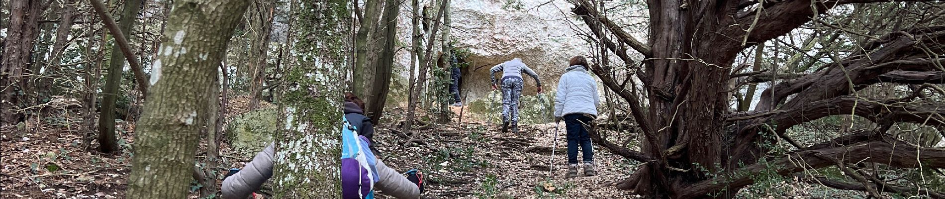 Percorso Marcia Plan-d'Aups-Sainte-Baume - la grottes betton ste beaume - Photo