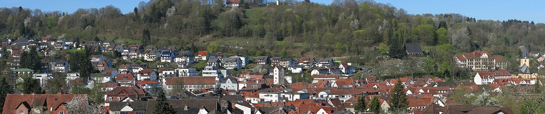 Tocht Te voet Flörsbachtal - Spessartbogen Zubringer Wiesbütt - Bad Orb - Photo