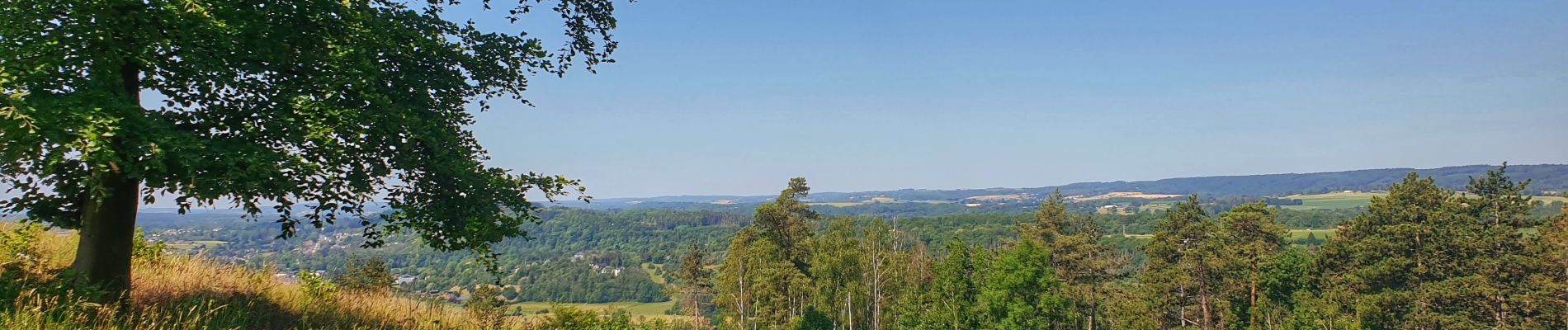 Tour Wandern Durbuy - Le sentier botanique du mont des Pins - Photo