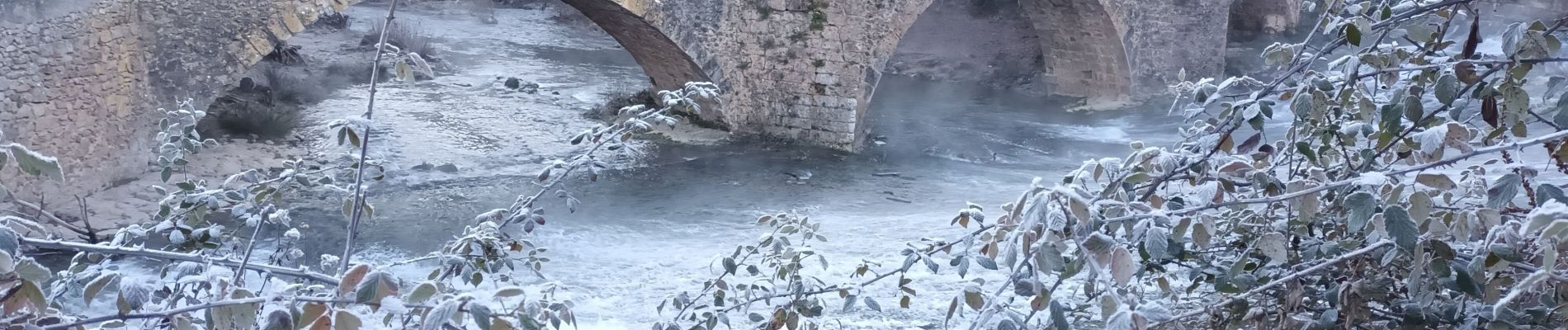 Tocht Stappen Vins-sur-Caramy - Vins sur Caramy-12-01-22 - Photo