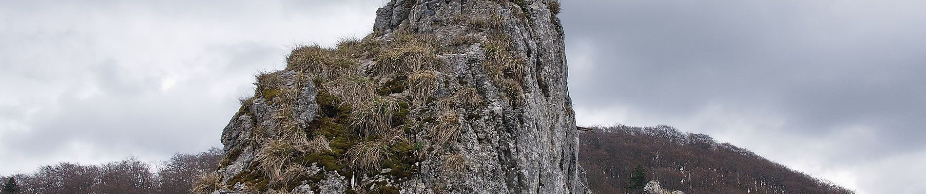 Tour Zu Fuß Bad Grund - Horizontalweg - Photo