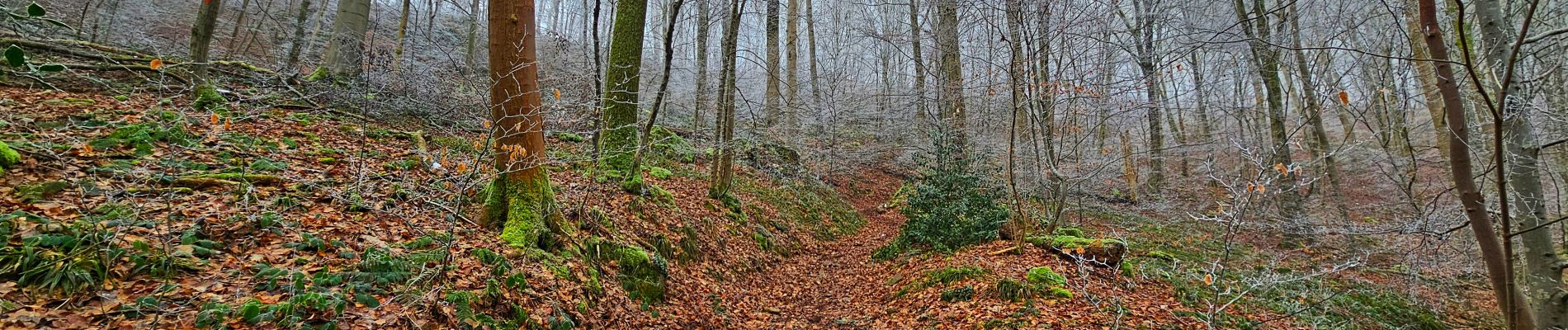 Randonnée Marche Profondeville - Balade de la Pierre à L'Image - Profondeville - Photo