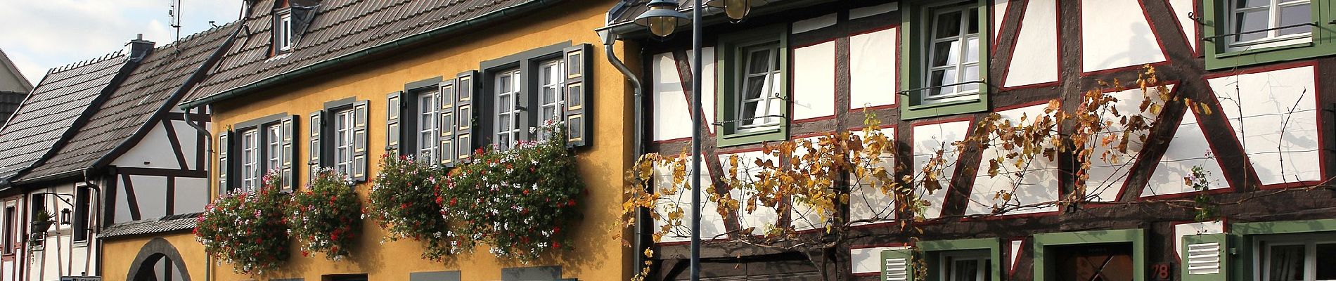 Percorso A piedi Sinzig - Rundweg 7 Bad Bodendorf - Photo