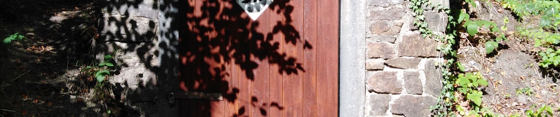 Tocht Stappen Saint-Hubert - mirwart - Photo
