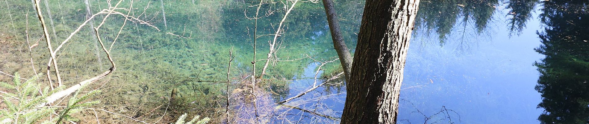 Excursión A pie Lößnitz - Wanderweg Lößnitz - Lauter - Photo