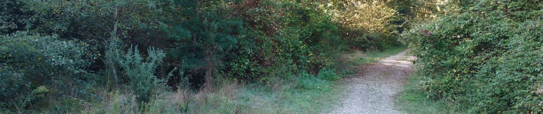 Tocht Stappen Canéjan - clés du jardin  - Photo