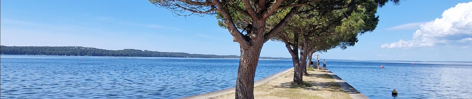 Tour Mountainbike Carcans - Entre lac et océan.  - Photo