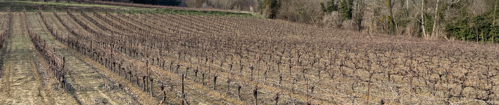 Trail Walking La Tour-d'Aigues - PF-La Tour d'Aigues - La Bastidonne - La Chapelle St Julien - Photo