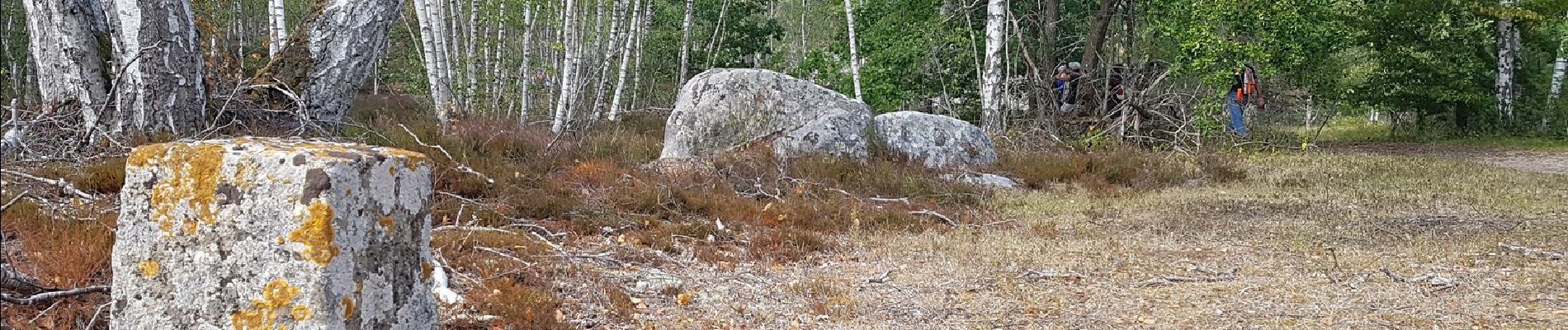 Trail Walking Fère-en-Tardenois - Fère en Tardenois par le bois de Saponay - Photo