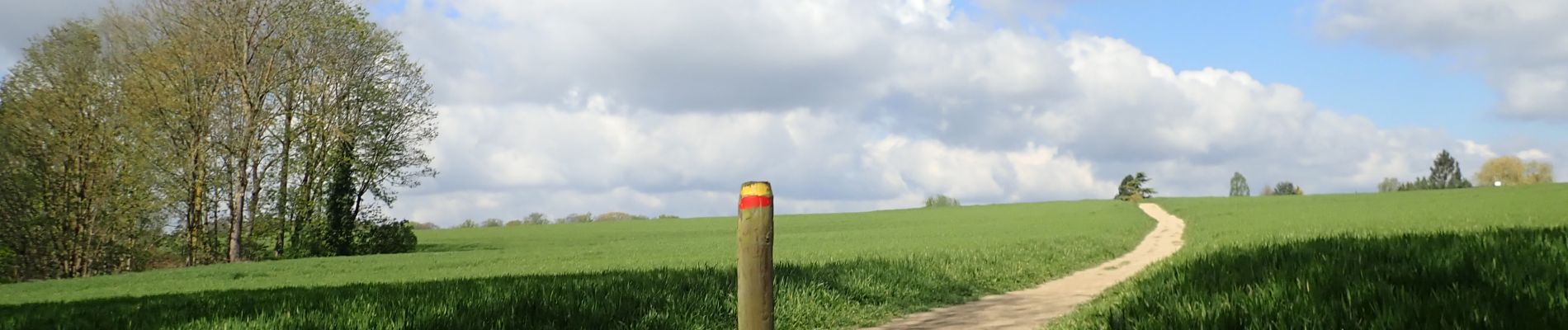 Tocht Stappen Chaumont-Gistoux - #210507 Dion-le-Mont, Pisselet et Louvranges - Photo