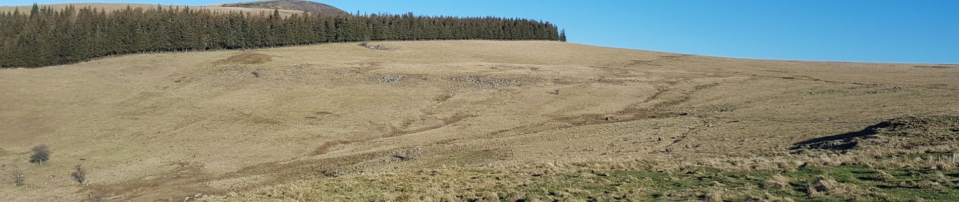 Tocht Stappen Laroquevieille - col du bruel  - Photo