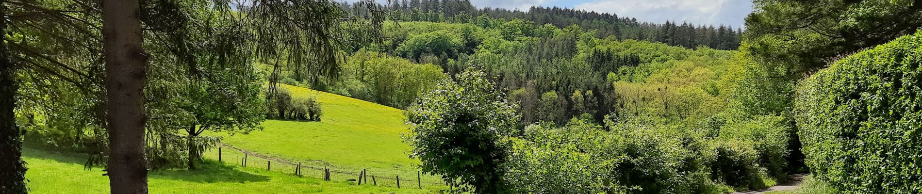 Randonnée Marche Neupré - Autour de Houte-Si-Plou - Photo