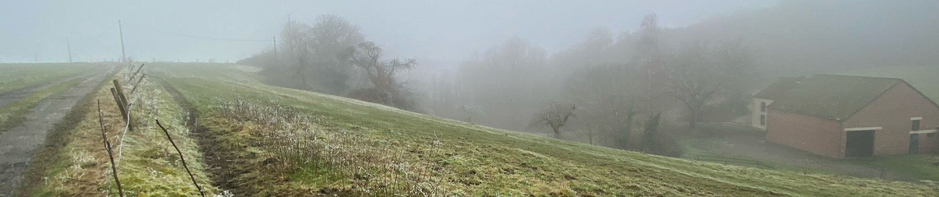 Tocht Stappen Cerfontaine - Eau d’heure  Hiver  - Photo