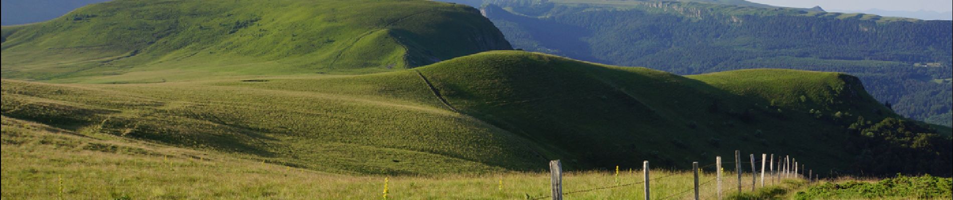 Randonnée Marche Mont-Dore - Mont_Dore_Puy_Gros_2 - Photo