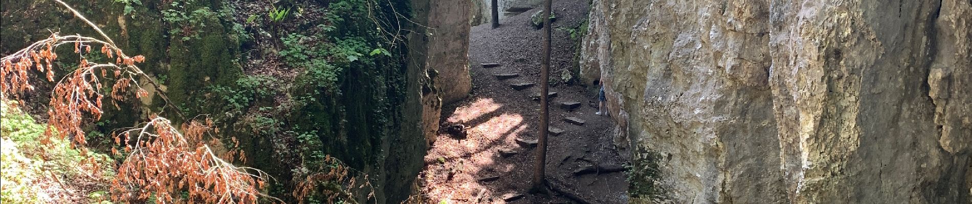 Excursión Senderismo Ferrette - Ferrette château et grotte des nains - Photo