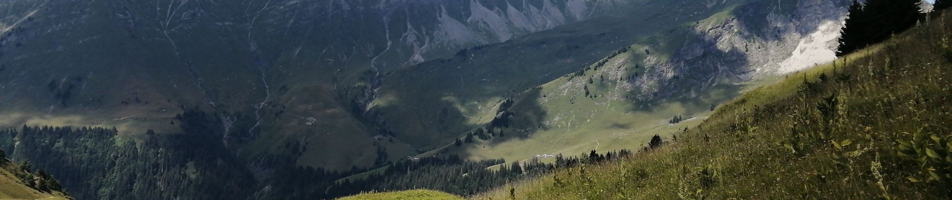 Randonnée Marche Samoëns - lac verderts et un peu plus - Photo