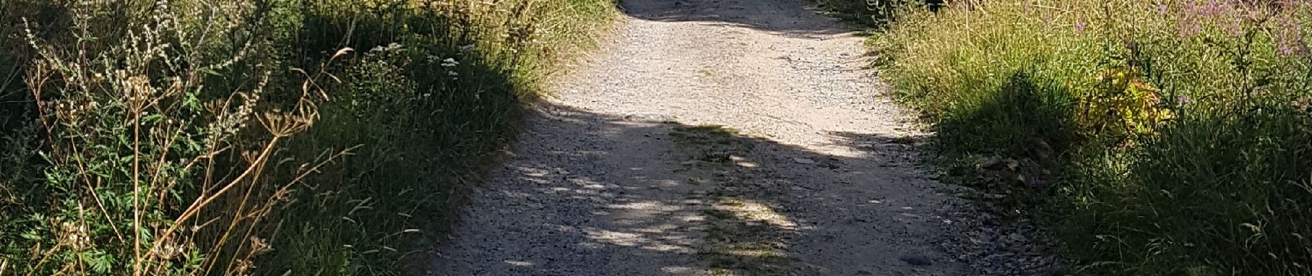 Randonnée Marche Nasbinals - autour de la cascade du Deroc - Photo