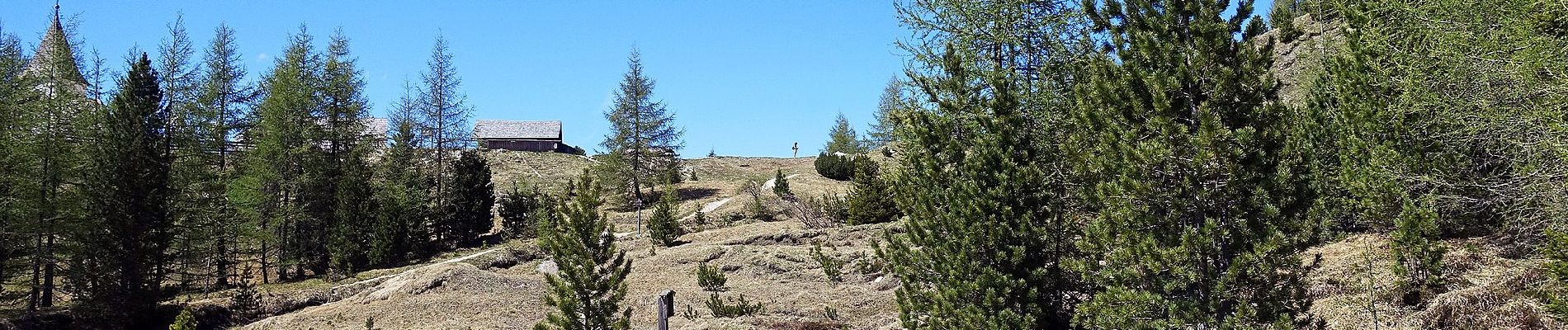 Tour Zu Fuß Abtei - Monte Cavallo Ferrata - Photo