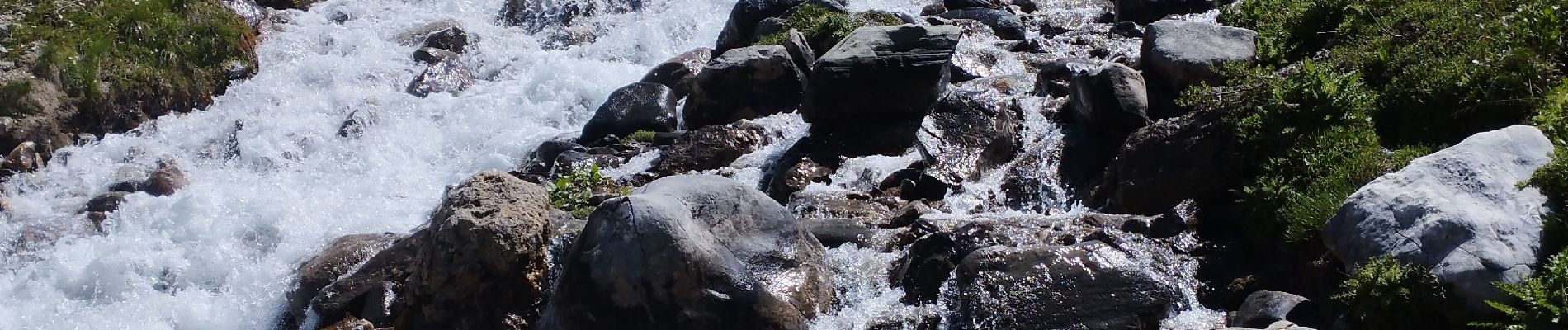 Randonnée Marche Pralognan-la-Vanoise - Pralognan  - Photo